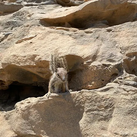 Casa Rosalia Feriehus